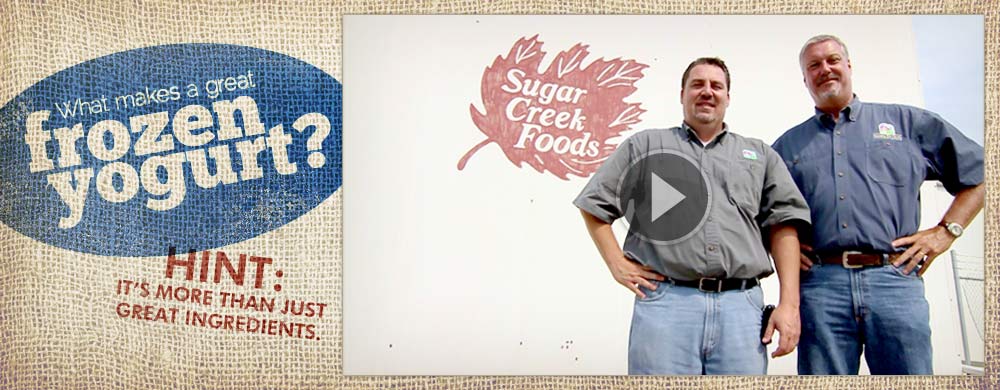 What Makes a Great Frozen Yogurt?